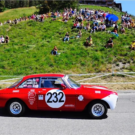 Alpetta 37 In - Out - Happy *
